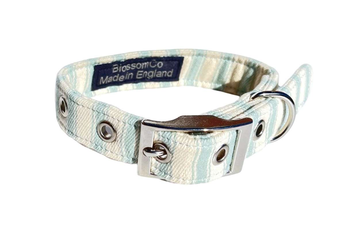 Hartland Pale Green Ticking Dog Collar — BlossomCo — Petalby