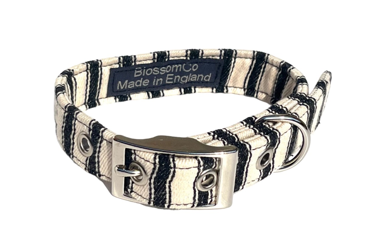 Paddington Black Ticking Dog Collar — BlossomCo — Petalby