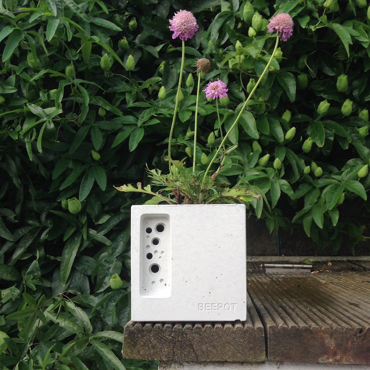 Beepot Mini — Green&Blue — Petalby