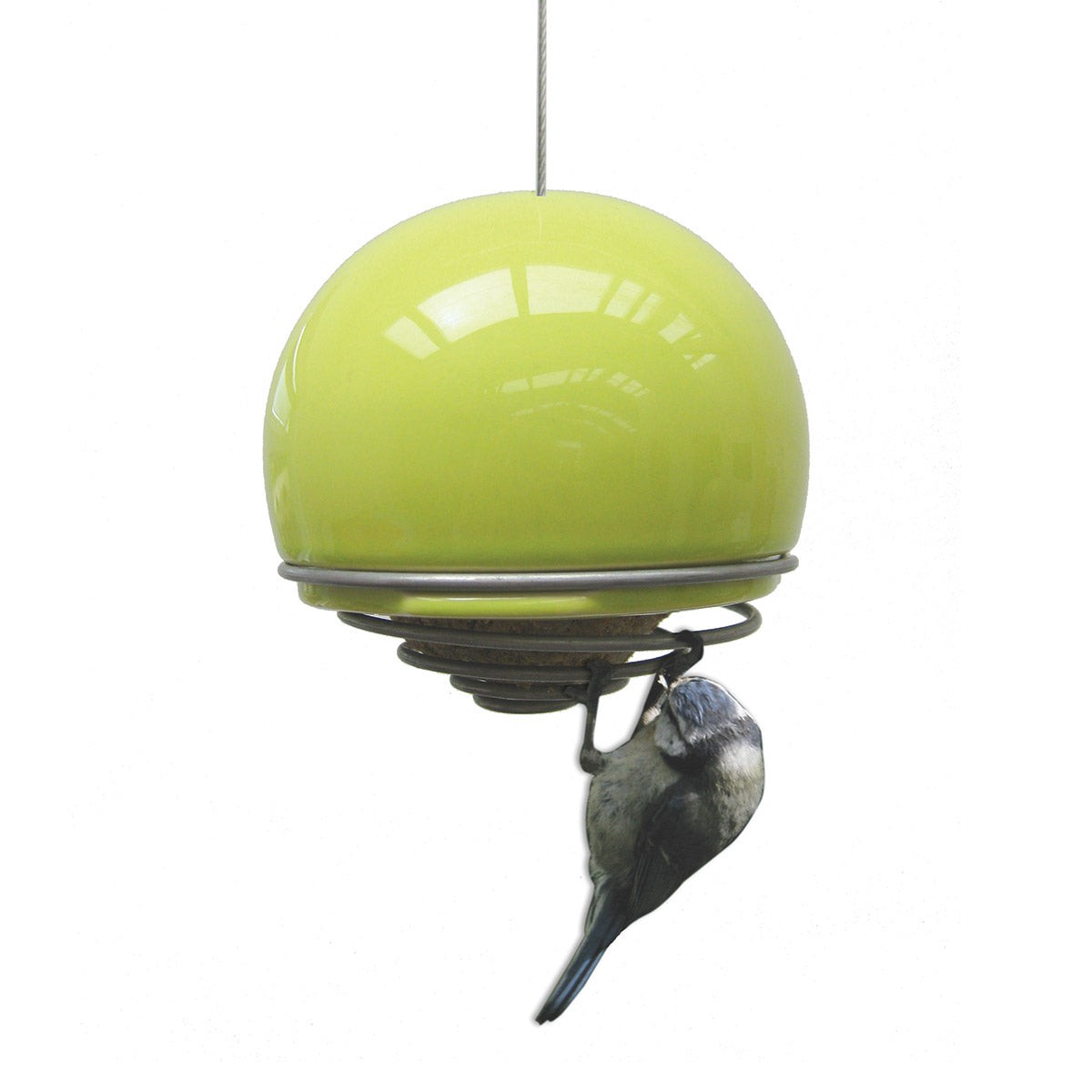 Birdball Belle Feeder — Green&Blue — Petalby