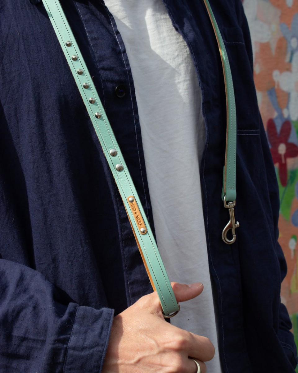 Duo Tone Leather Dog Lead, Mint and Tan — Hiro + Wolf — Petalby