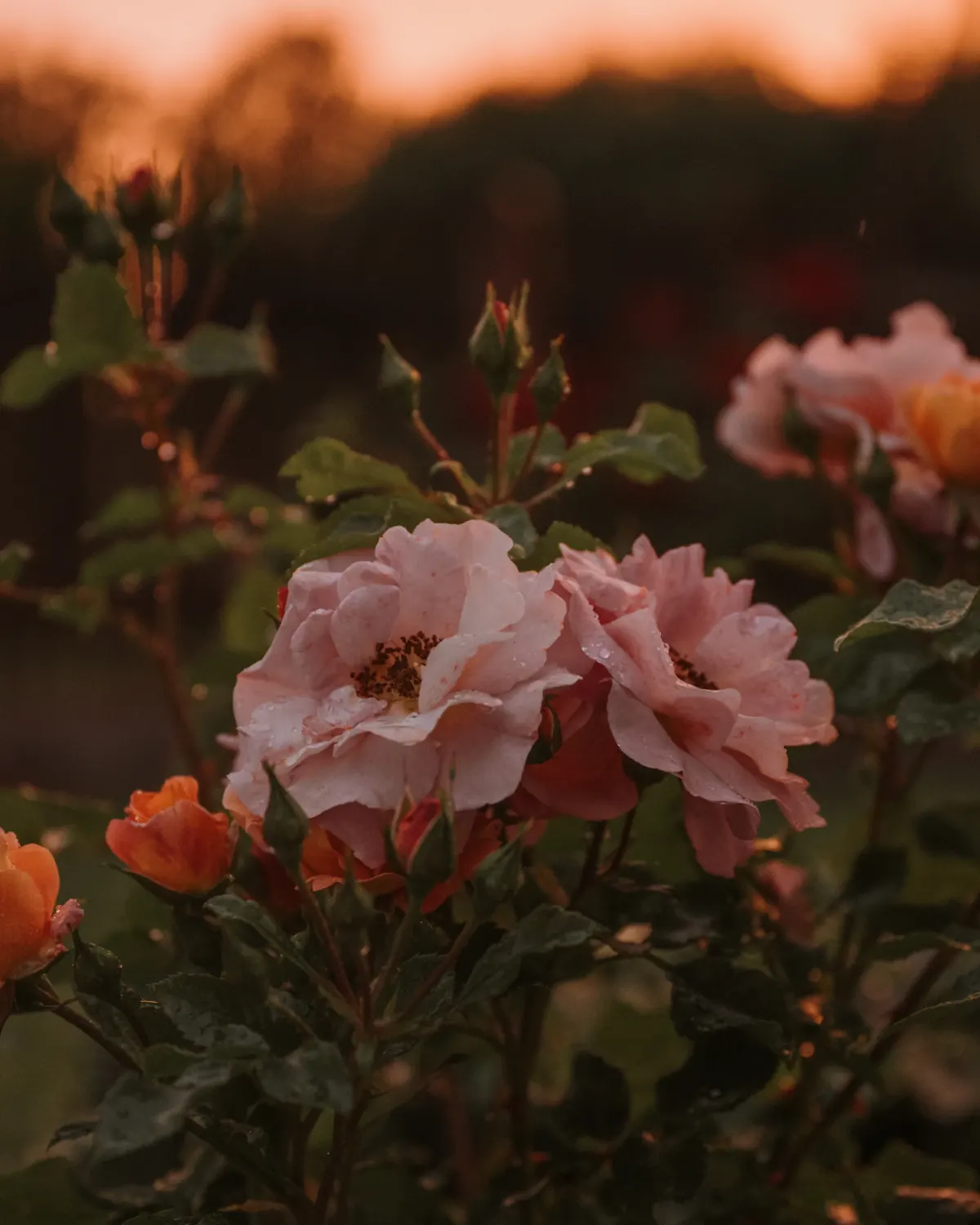 Two — What earns a place